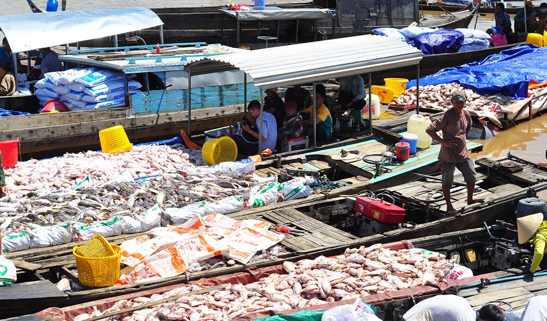 ca chet tren song la nga anh 2