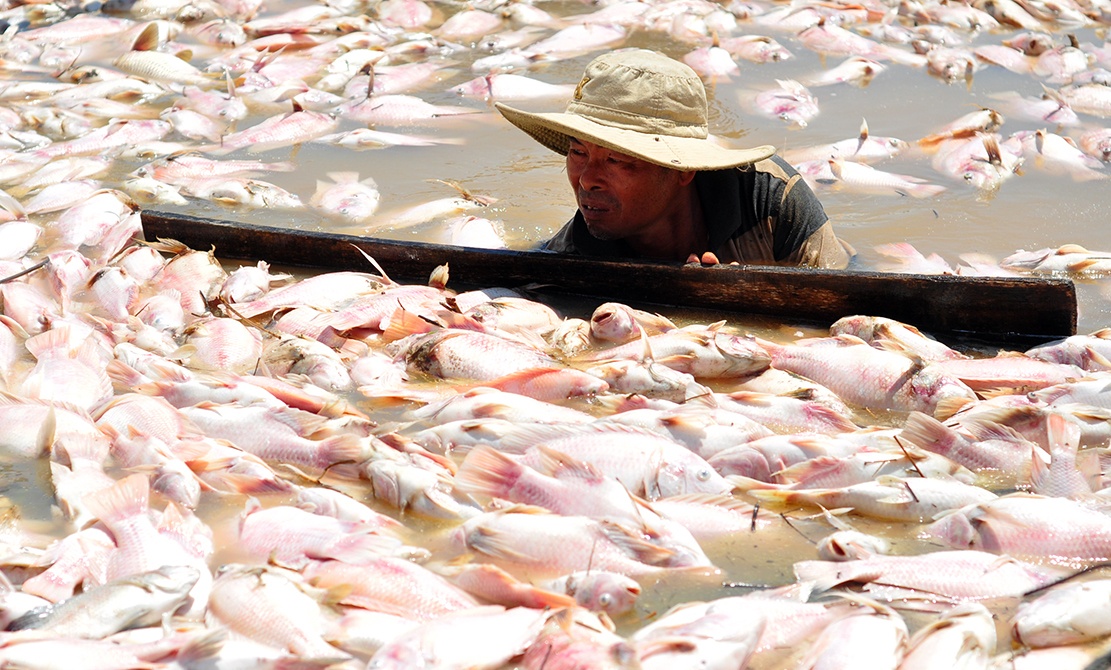 ca chet tren song la nga anh 1