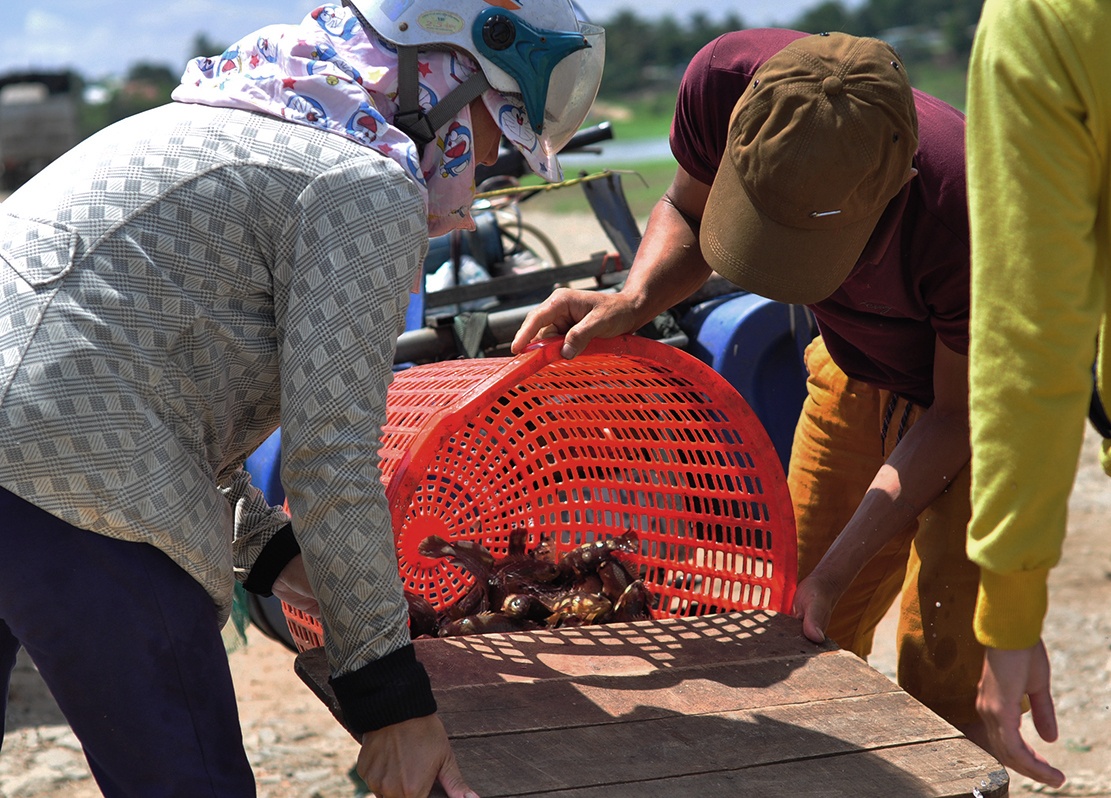 lang be sau tham hoa ca chet anh 9