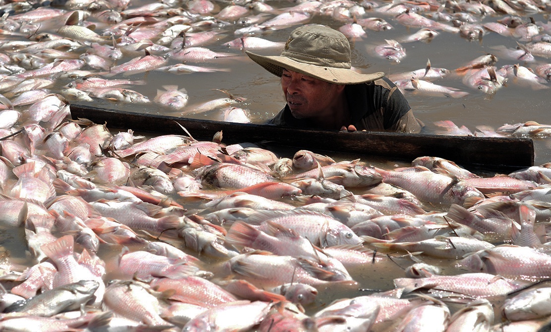 lang be sau tham hoa ca chet anh 1