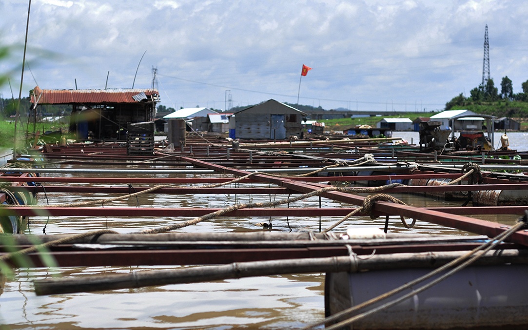 lang be sau tham hoa ca chet anh 4