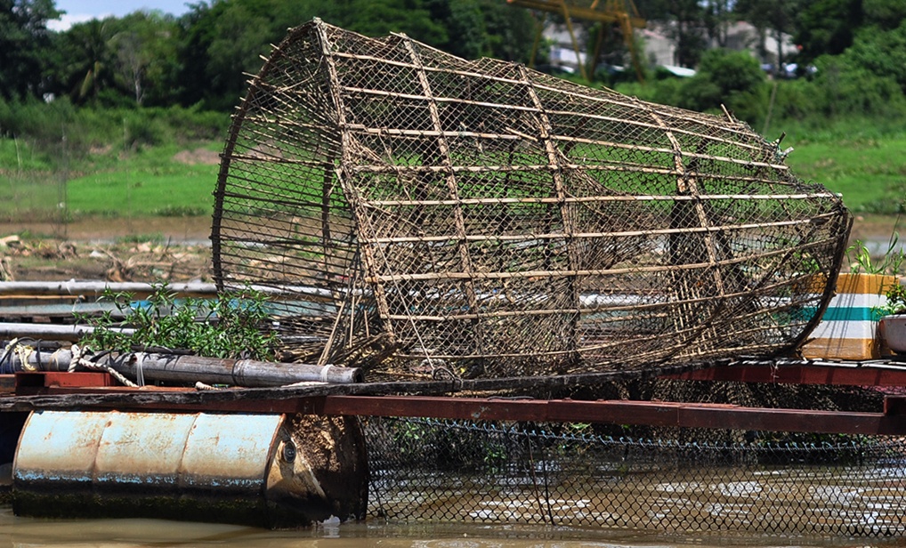 lang be sau tham hoa ca chet anh 5