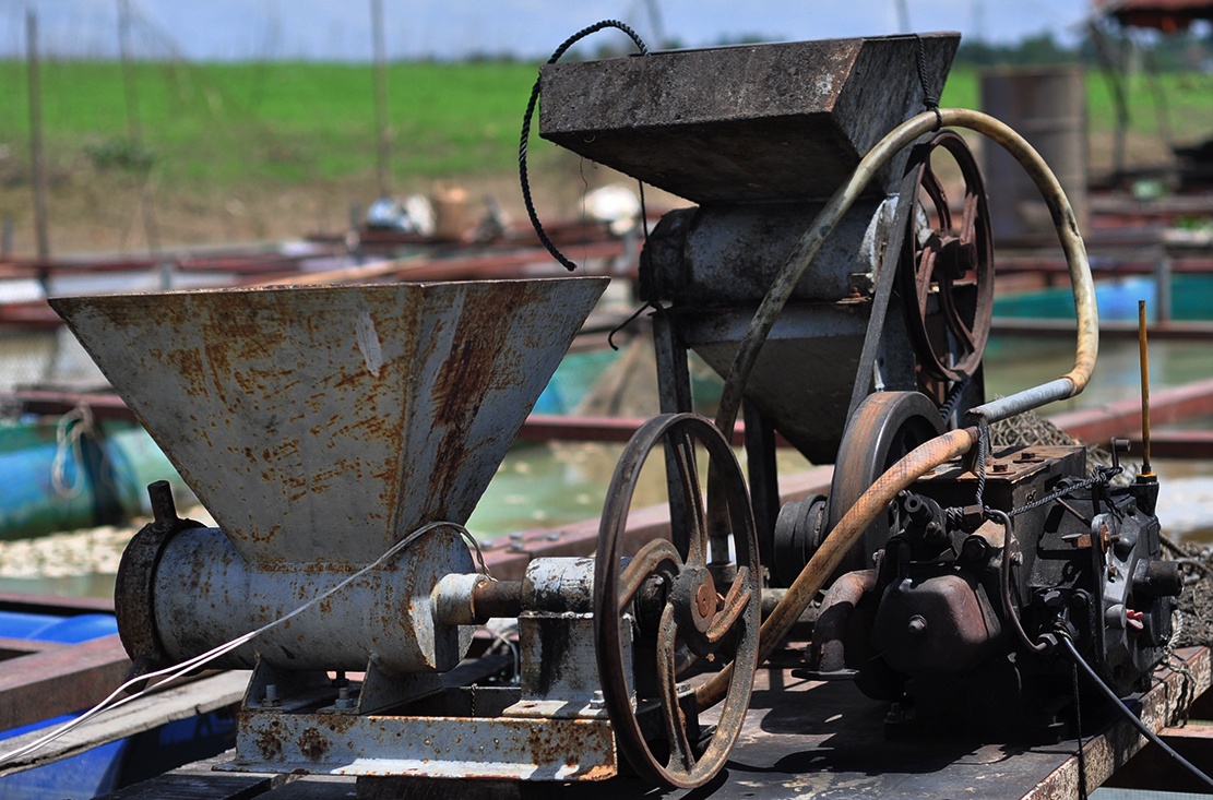 lang be sau tham hoa ca chet anh 6