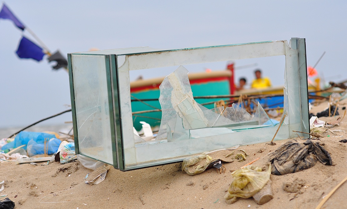 rac ngap bai bien anh 5