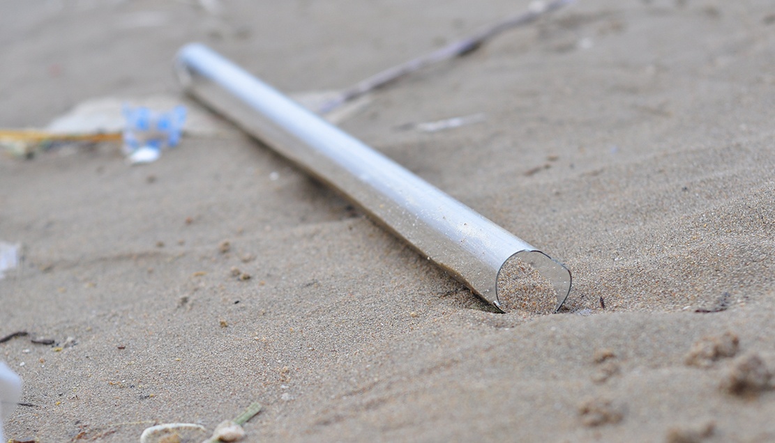 rac ngap bai bien anh 6