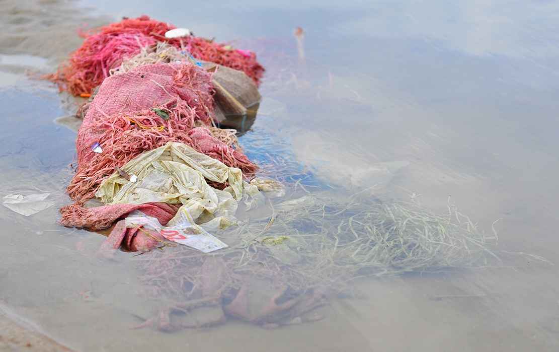 rac ngap bai bien anh 9