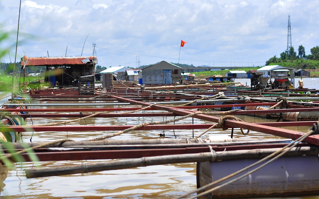 dan La Nga moi mon cho ho tro anh 2