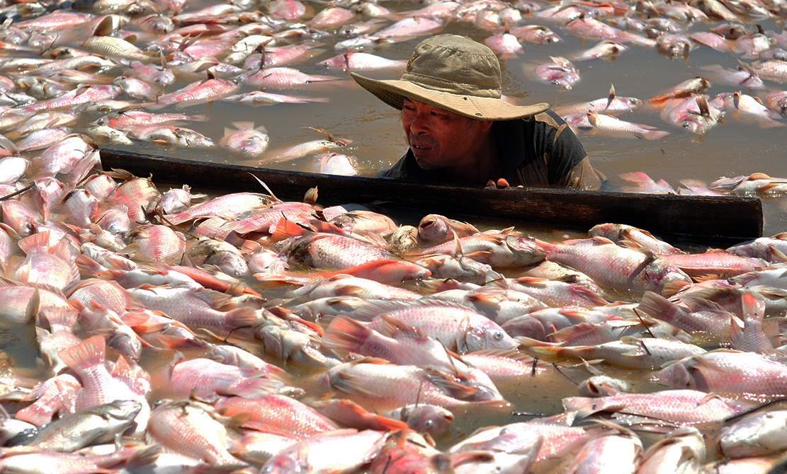 Dan La Nga moi mon cho ho tro sau vu 1.900 tan ca chet hinh anh