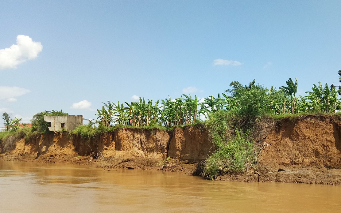 nha do sap xuong song dong nai anh 5