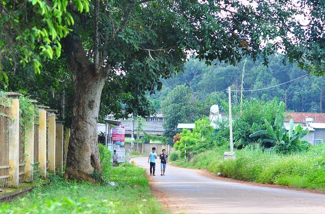 bao tang cao su tram tuoi anh 12