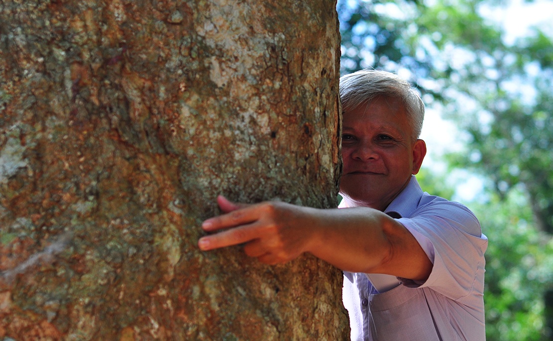 bao tang cao su tram tuoi anh 3
