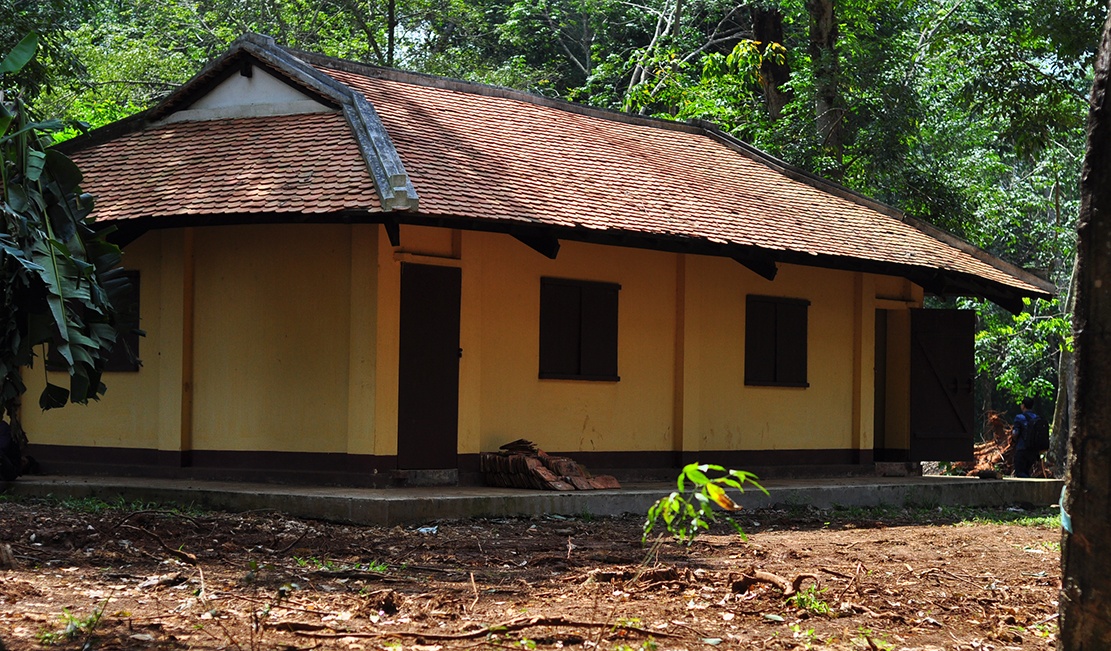 bao tang cao su tram tuoi anh 4