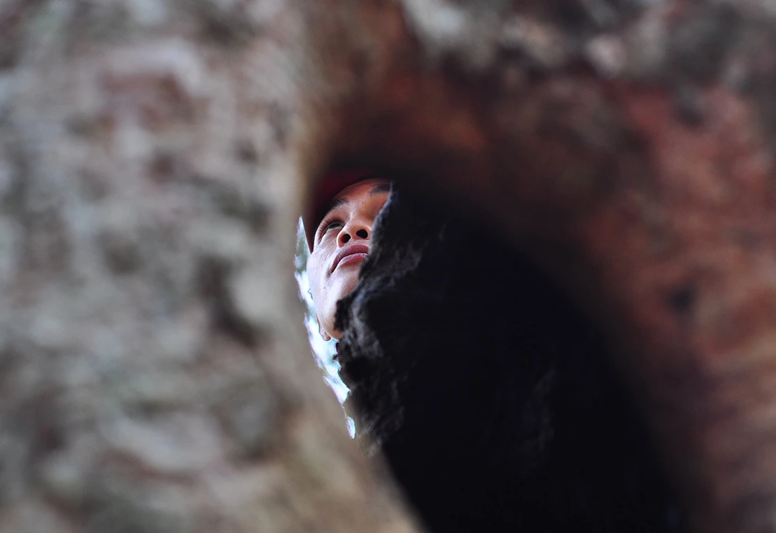 bao tang cao su tram tuoi anh 8