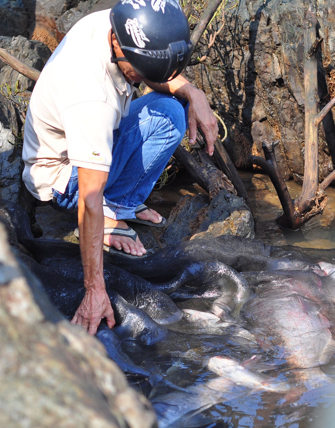 bat ca dap thuy dien tri an anh 12