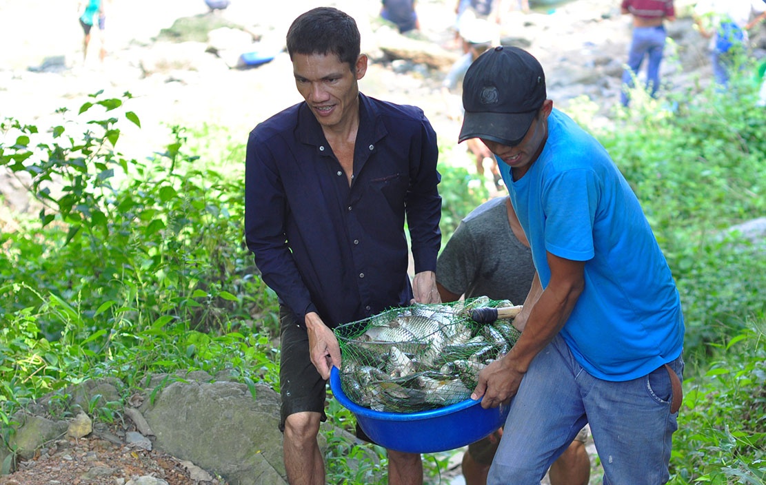 bat ca dap thuy dien tri an anh 14