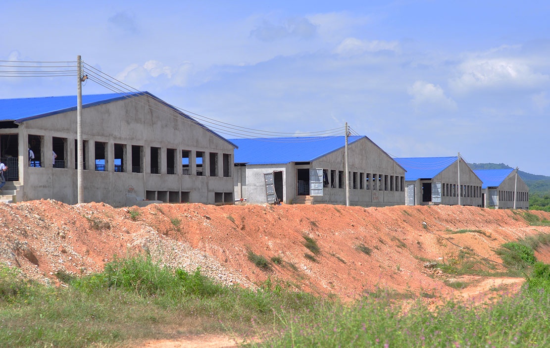 Trai heo khung ben ho Tri An anh 1