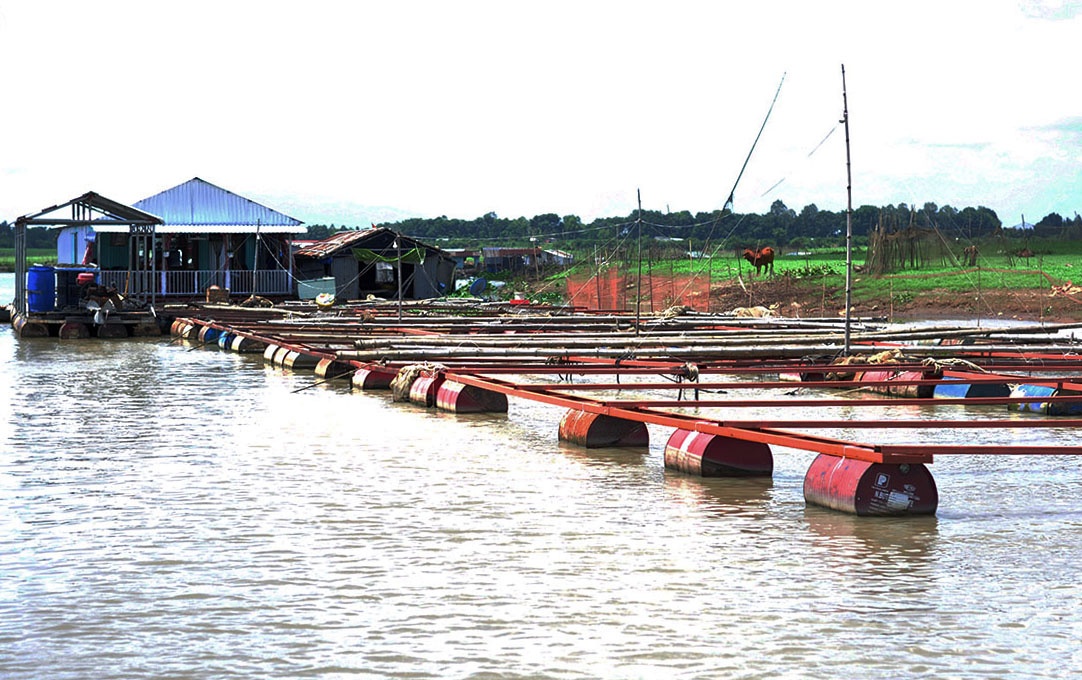 dan la nga khon kho anh 1