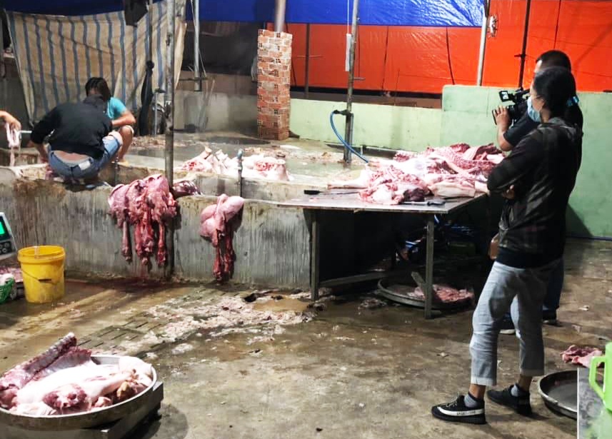 Lo mo heo chui 7 lan bi luc luong chuc nang kiem tra, xu ly hinh anh