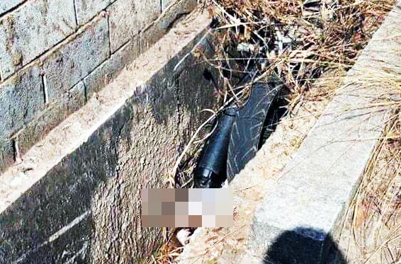 Phat hien thi the thieu nien mat tich 2 ngay duoi muong nuoc hinh anh