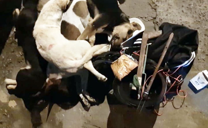 Bat 2 nguoi mang theo sung dien, ot bot di trom cho hinh anh