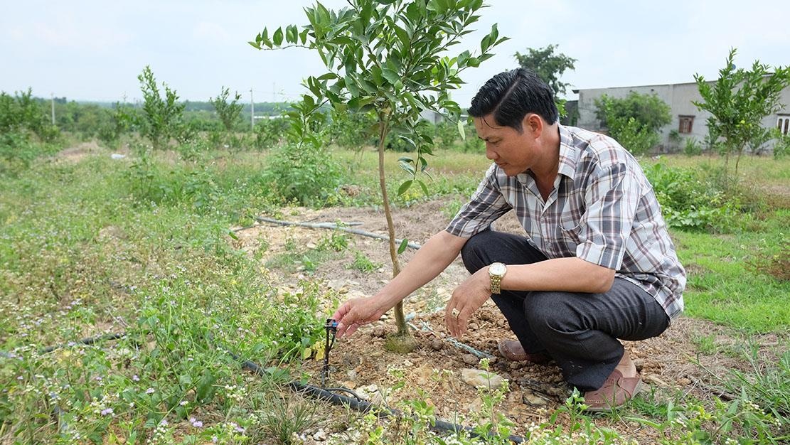 Khoan 7 gieng trong vuon van khong du nuoc tuoi cay hinh anh