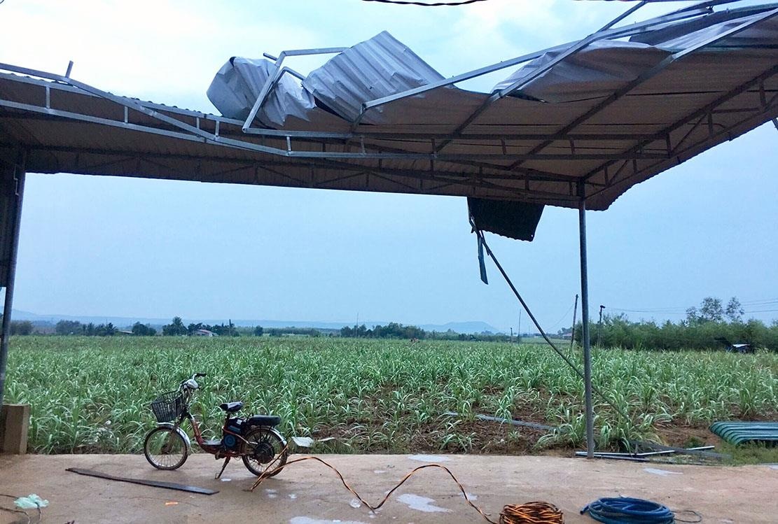 loc xoay gay mat dien anh 1