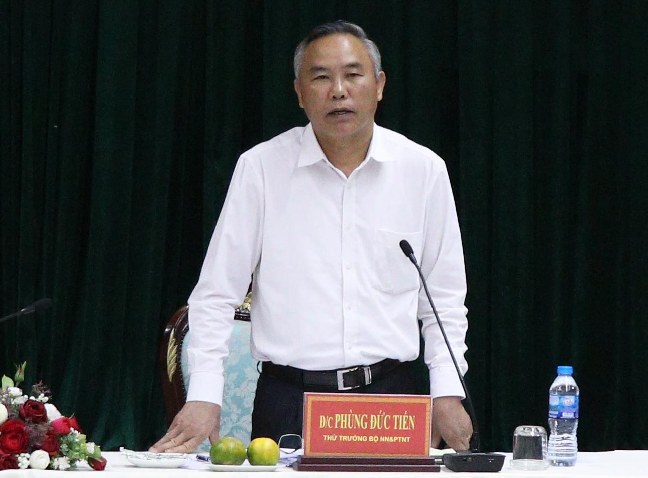 dich ta heo chau Phi dong nai anh 1