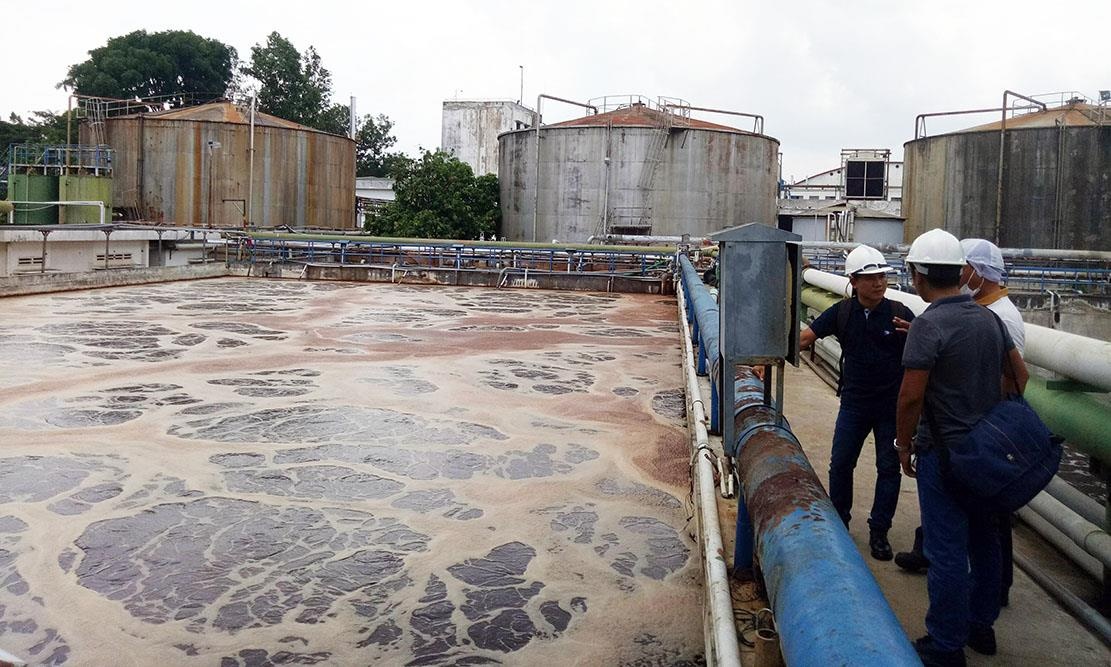 Khai quật cống xả thải của AB Mauri ảnh 2 Khai quat cong xa thai cua AB Mauri anh 2