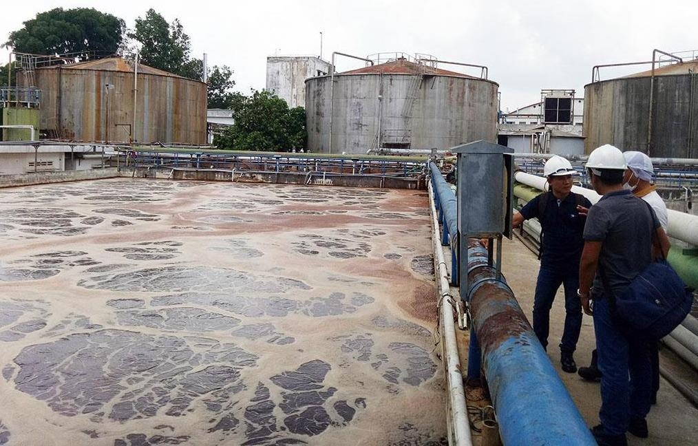 Khai quat cong xa thai cua AB Mauri sau nghi van lam ca chet hang loat hinh anh