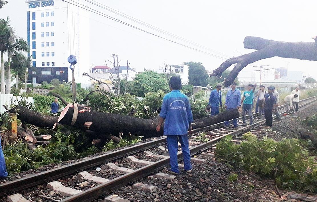 Co thu bat goc chan ngang ray, duong sat te liet gan 2 gio hinh anh