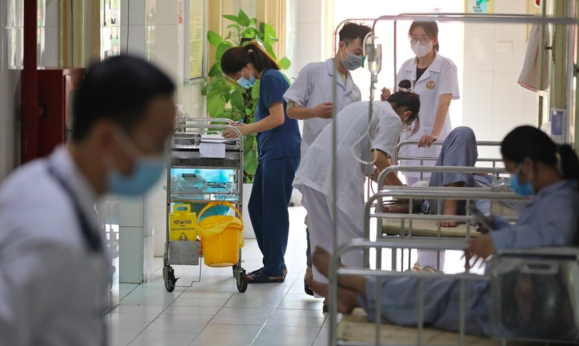 sốt xuất huyết ảnh 1 sot xuat huyet anh 1