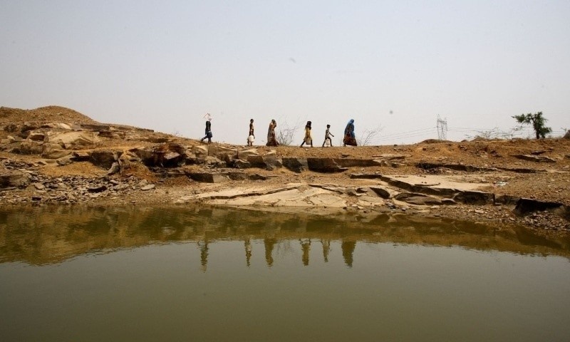 Hon 900 nguoi tu vong do set danh tai An Do trong nam 2022 hinh anh