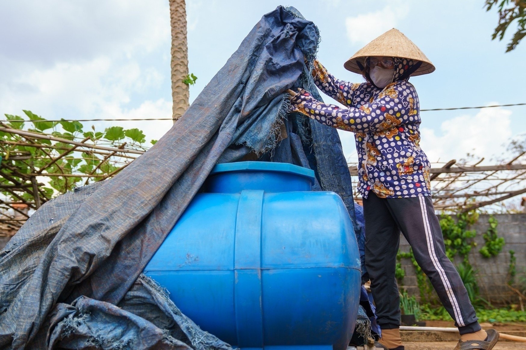 Nguy co suc khoe doi voi nguoi dan song o noi nhieu bui do hinh anh