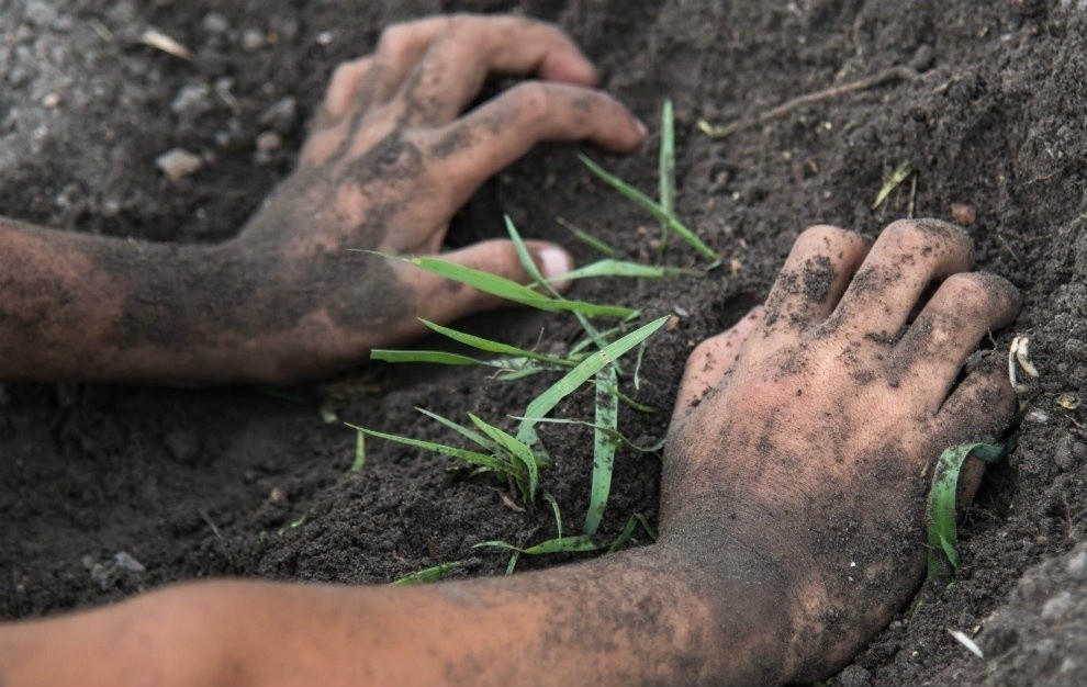 Dak Nong ghi nhan ca nhiem khuan Whitmore dau tien hinh anh