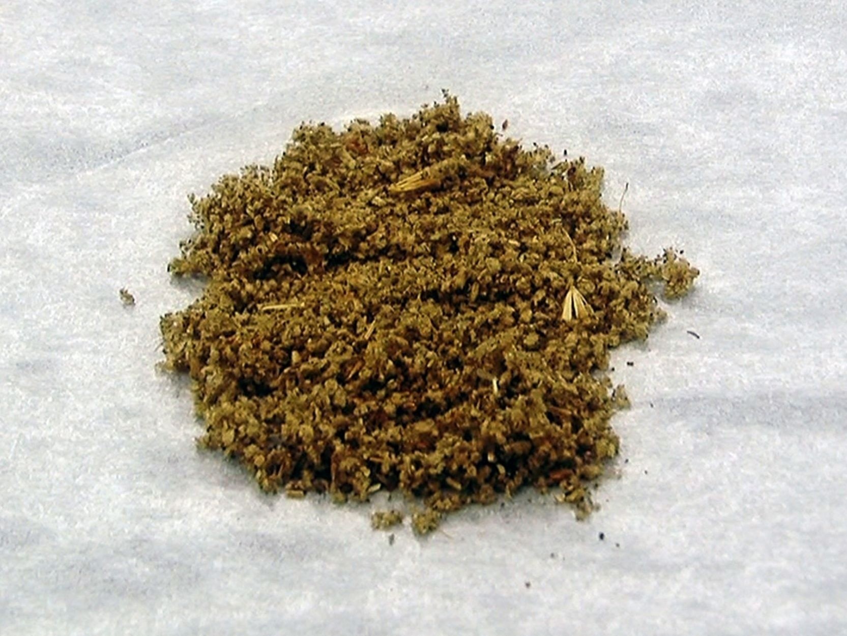 Nam sinh o TP.HCM nhap vien vi ao giac sau khi hut co My hinh anh