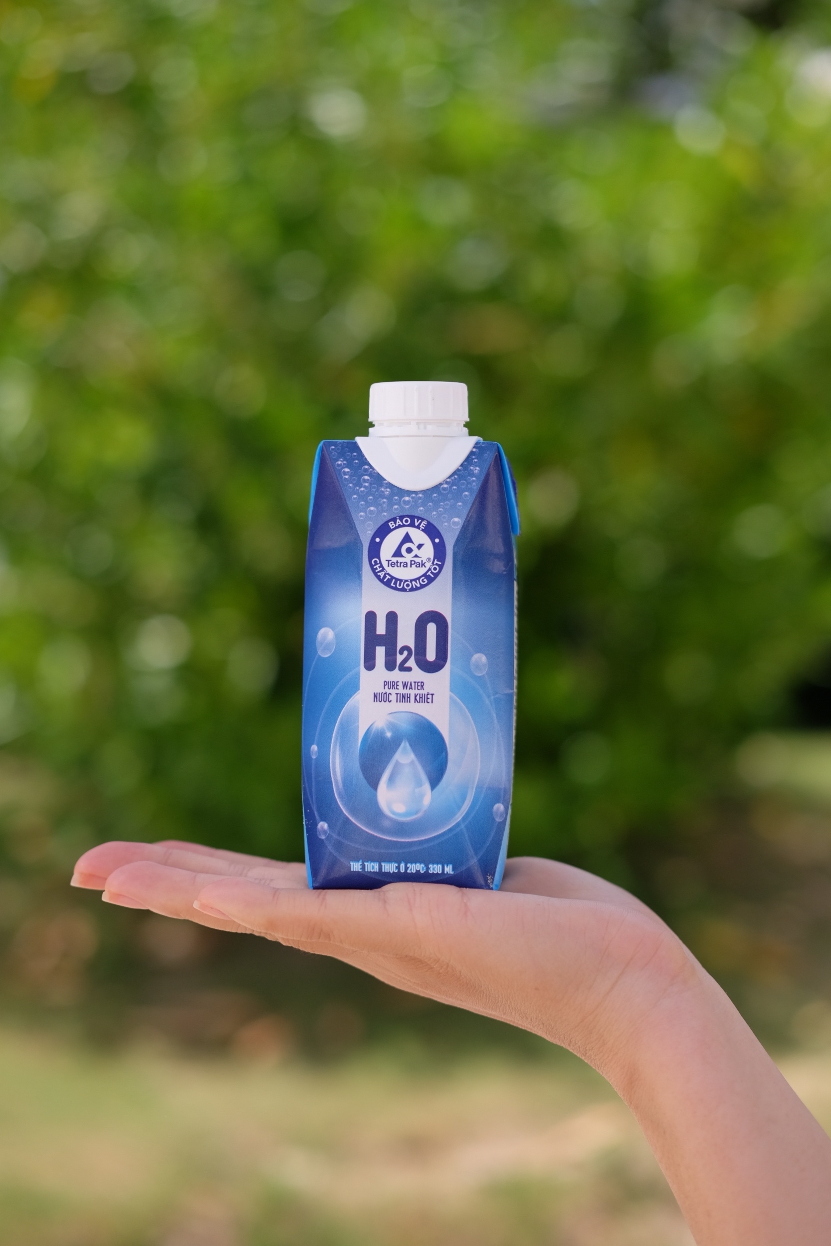 tai che hop giay anh 2