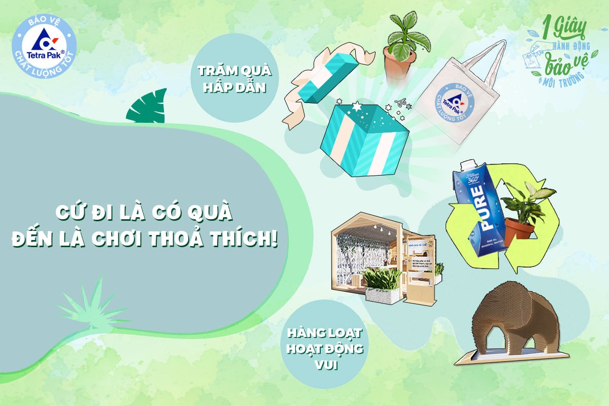 tai che hop giay anh 1