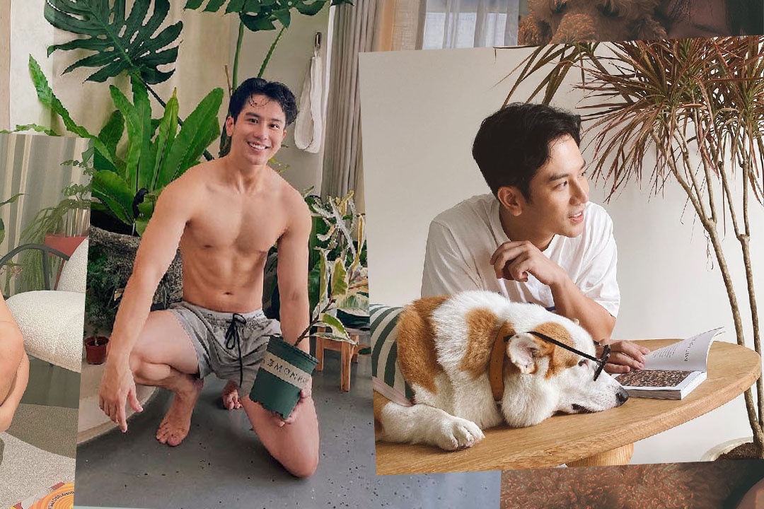 Vu Dino tu u phan huu co de song xanh trong gian cach hinh anh