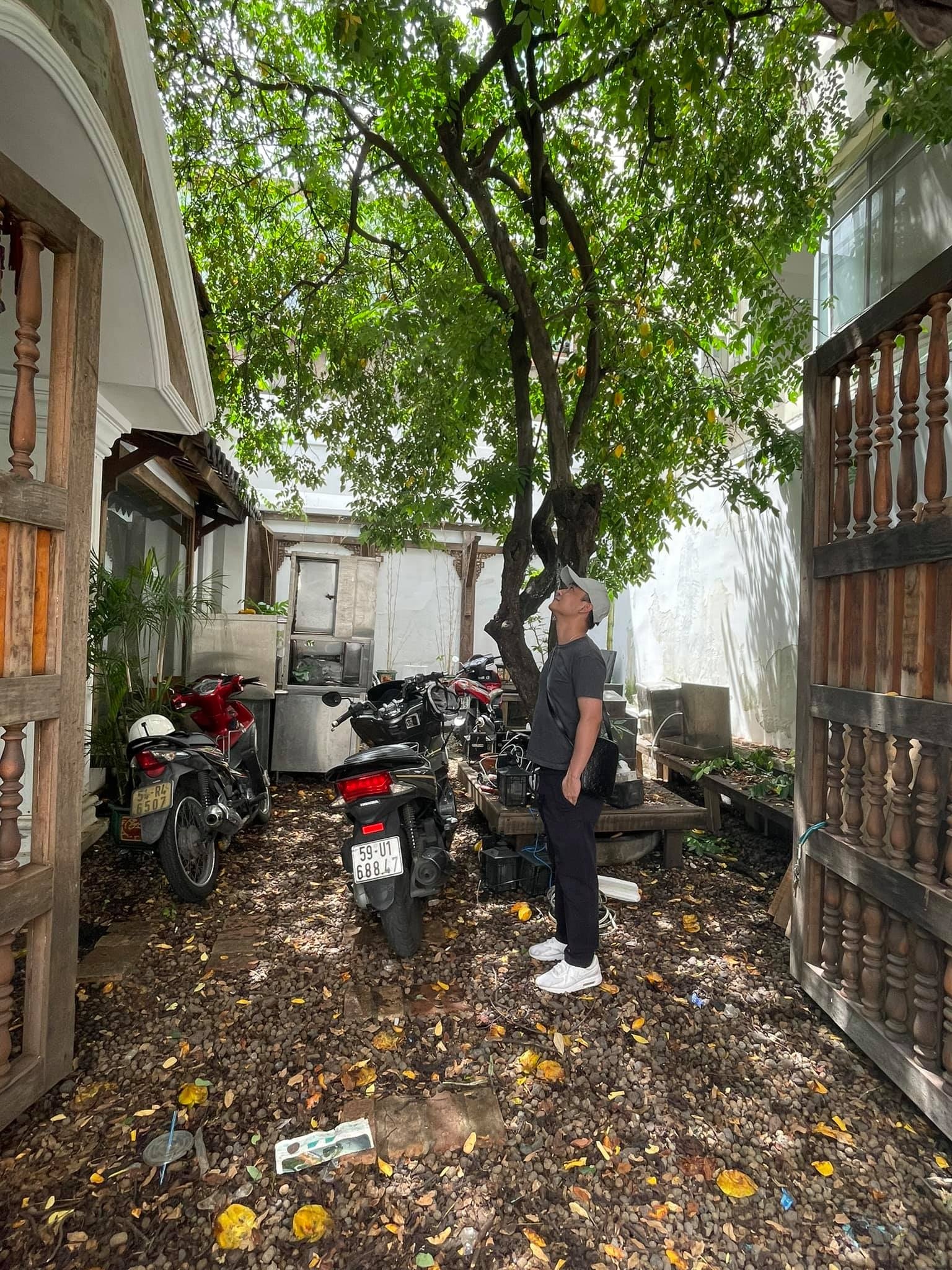 That bai,  dong cua,  lac quan anh 5