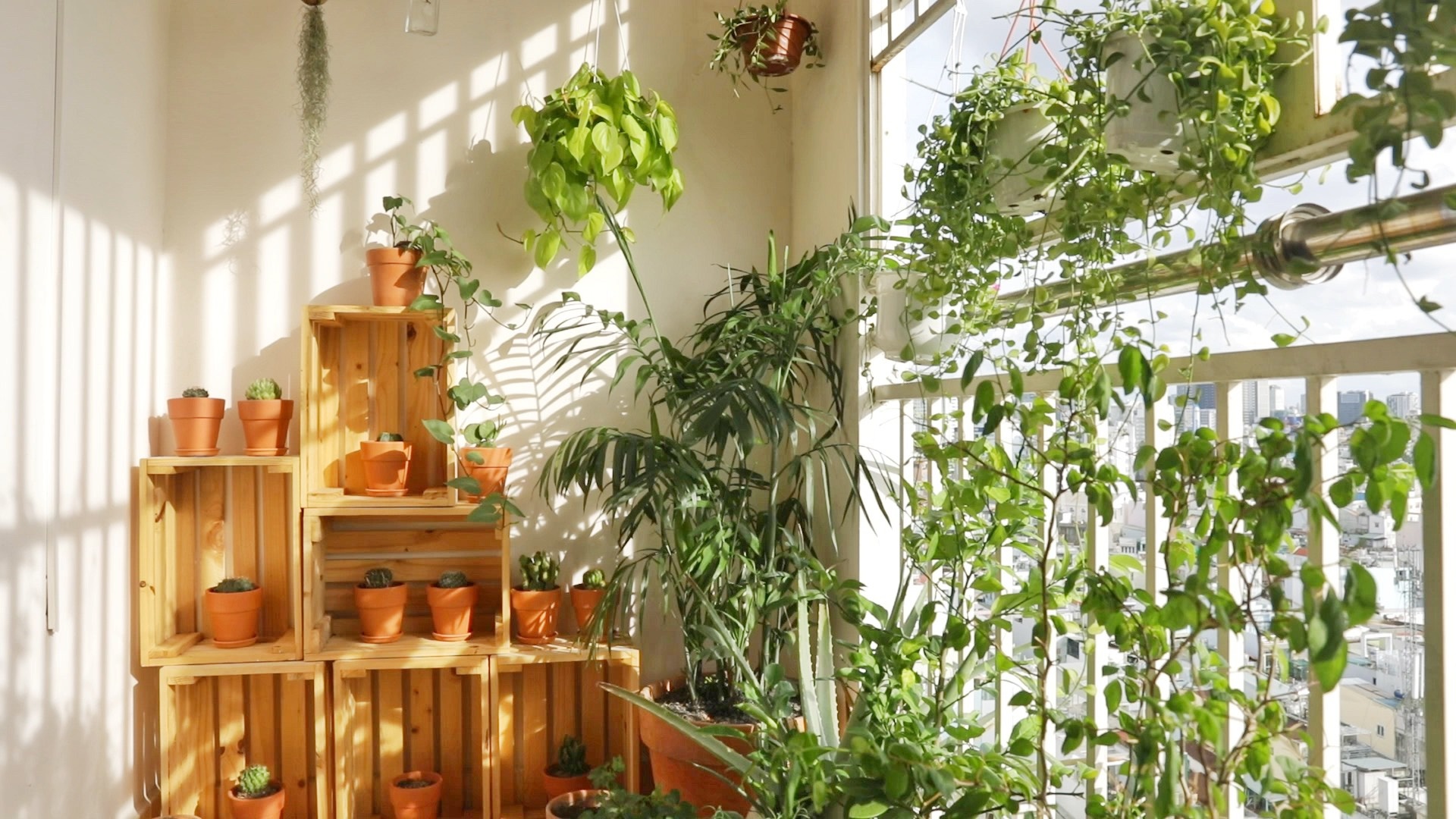 thuc day,  dap xe,  hoc tap anh 8