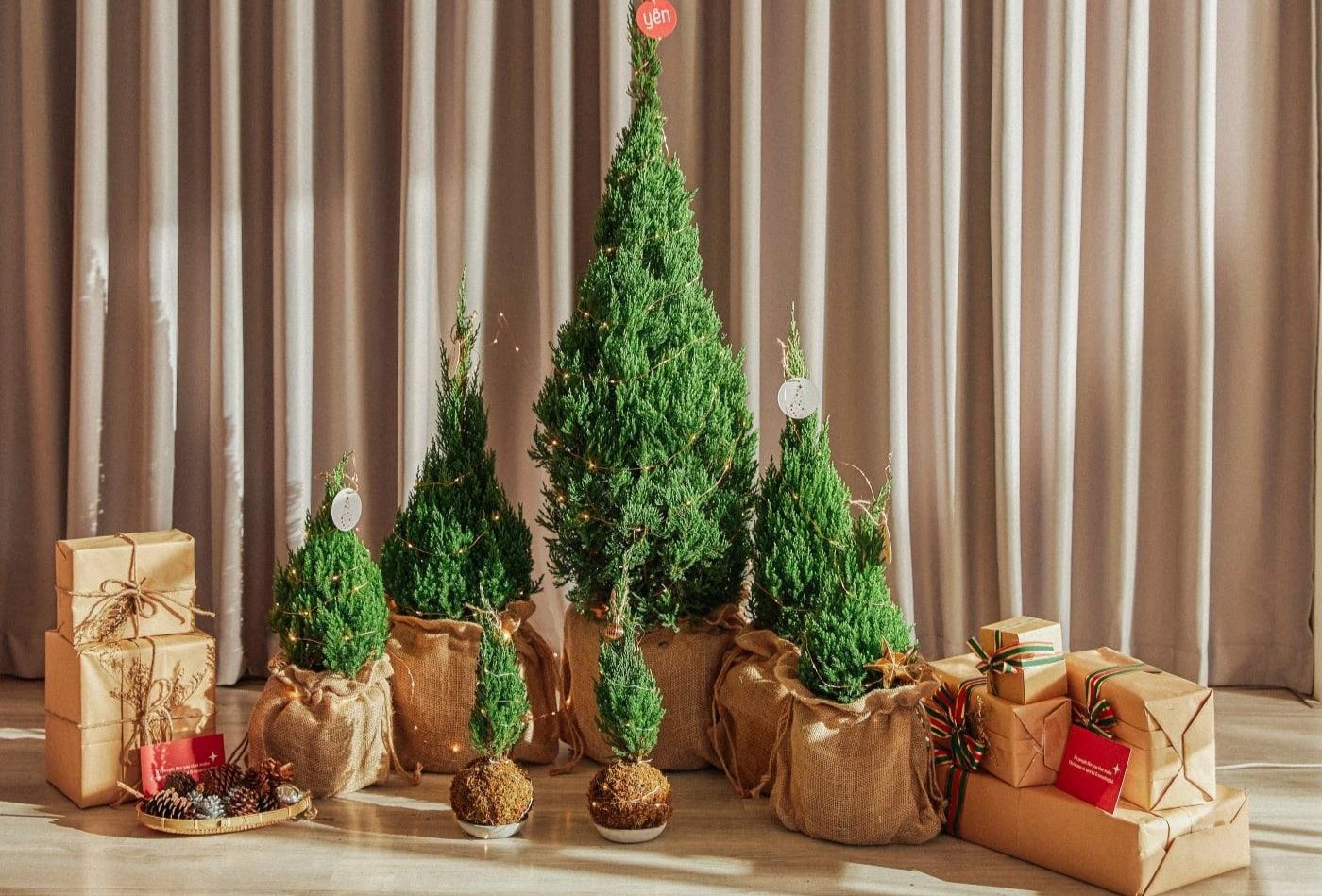 3 cach de tan huong Giang sinh som hinh anh