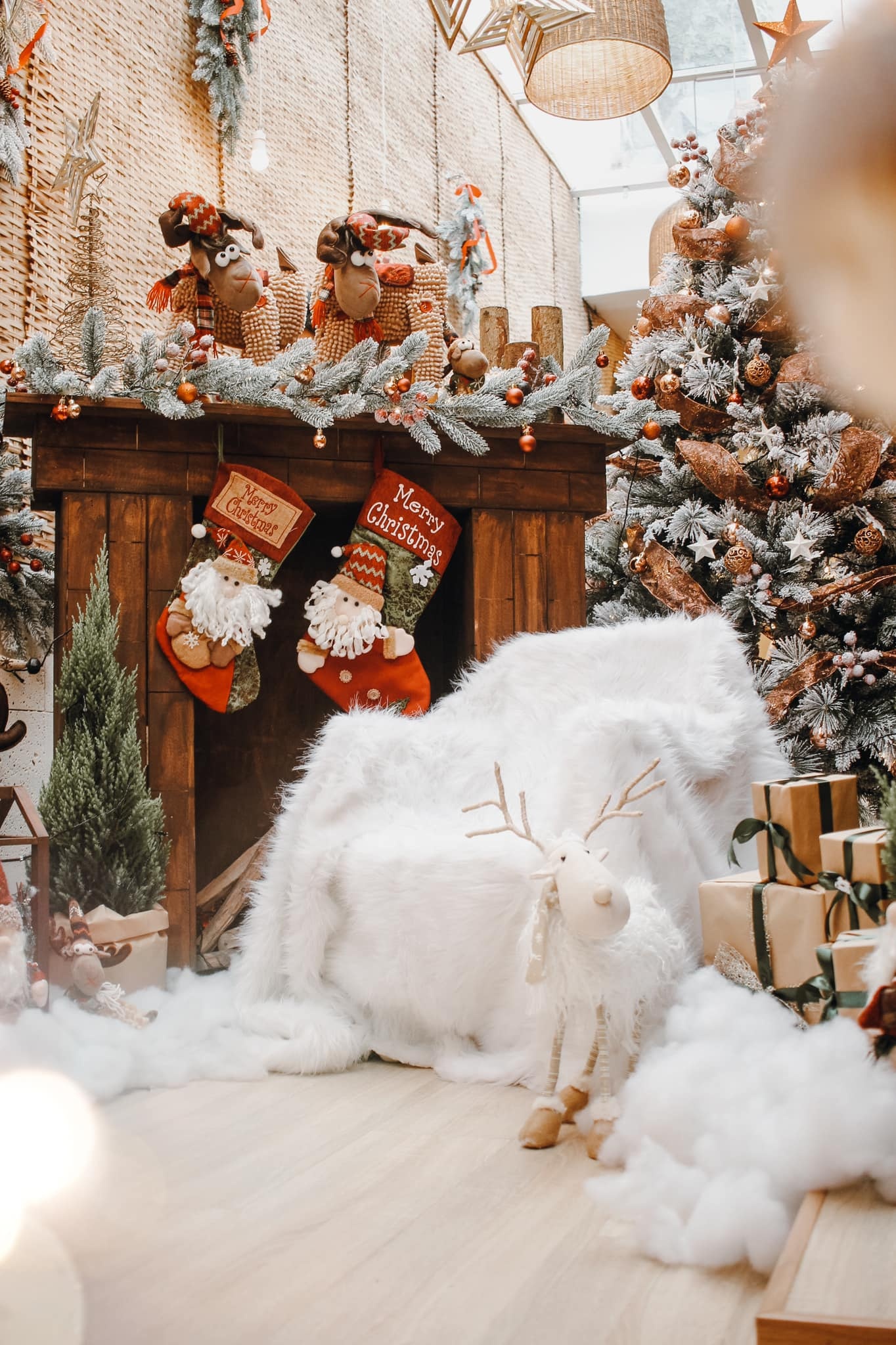 Nến thơm, cây thông, vòng nguyệt quế ảnh 3 Nen thom, cay thong, vong nguyet que anh 3