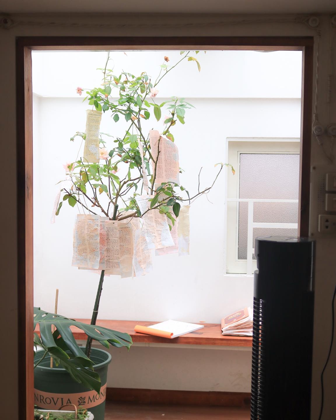 brunch, đọc sách, mua sắm ảnh 10 brunch, doc sach, mua sam anh 10