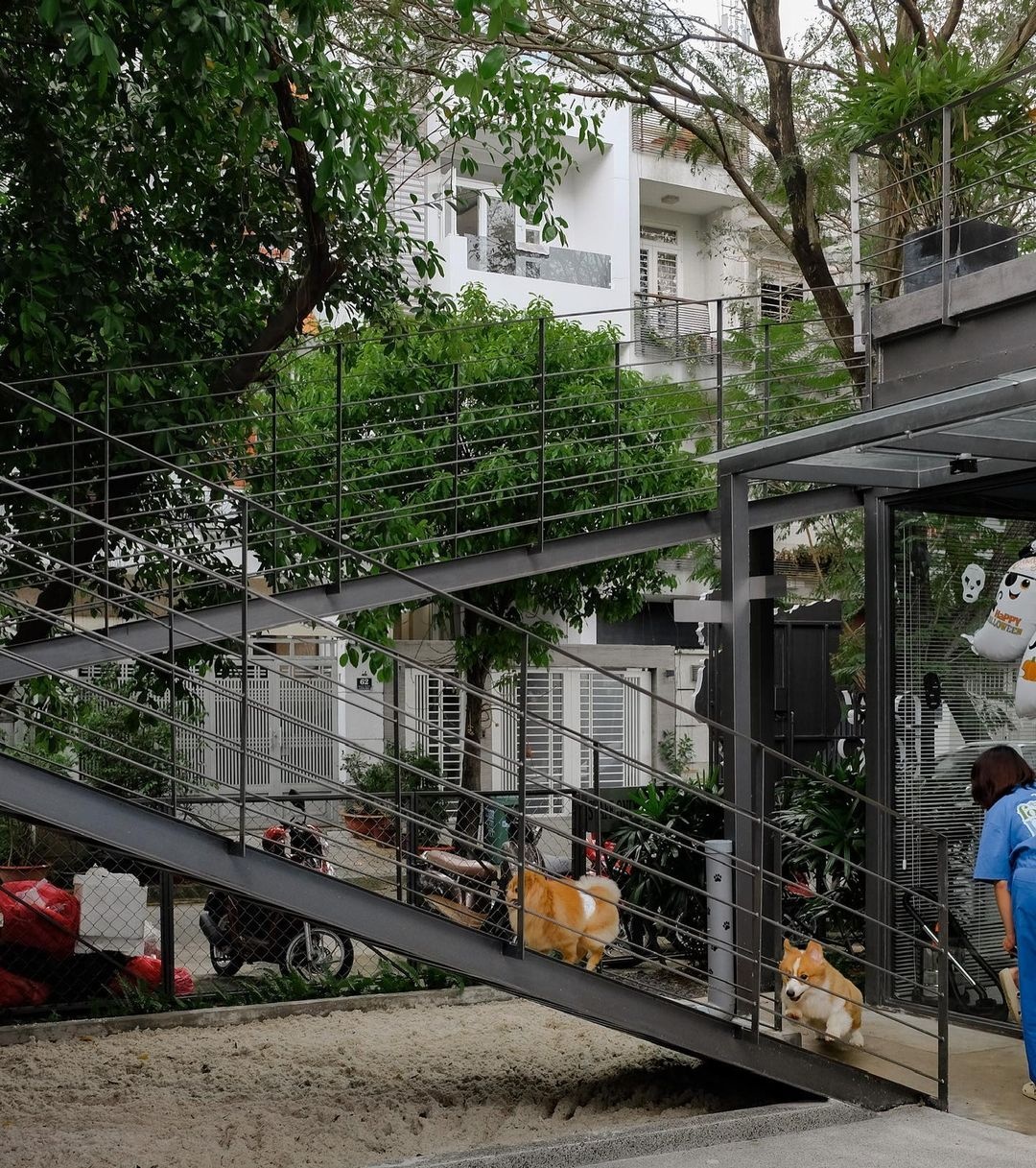 cuối tuần, thú cưng, cà phê ảnh 8 cuoi tuan, thu cung, ca phe anh 8