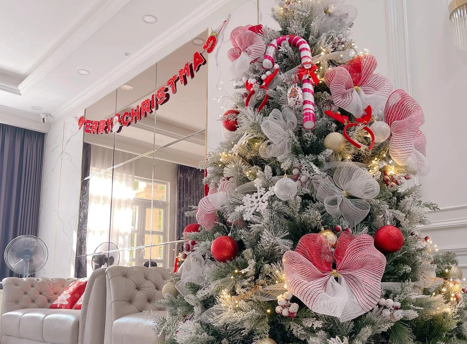 Lam moi cay thong Noel cu chi voi 600.000 dong hinh anh