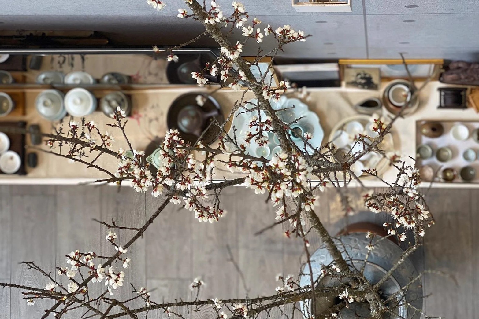 Cam hoa Tet theo phong cach hien dai voi nghe thuat Ikebana hinh anh