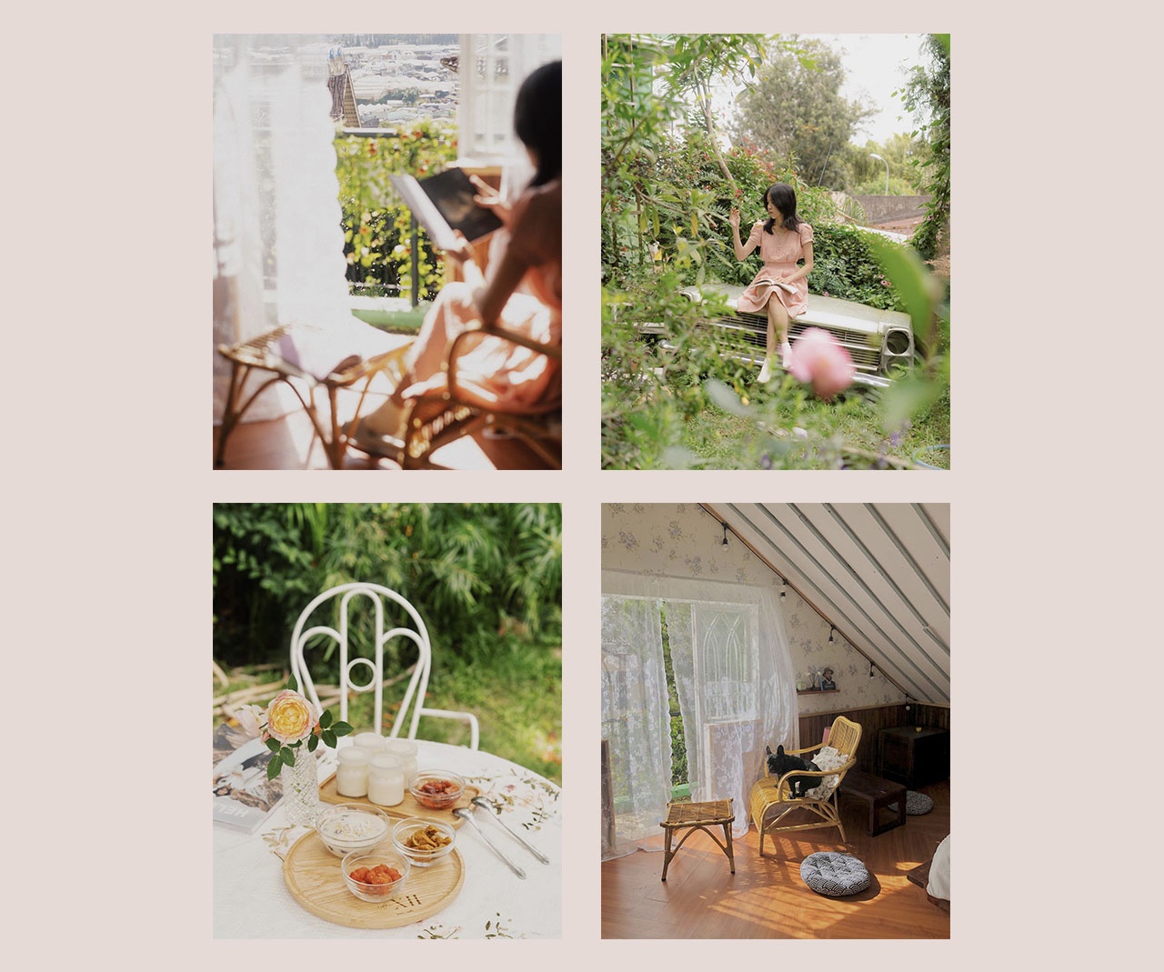 mua sắm, tiêu dùng, bền vững ảnh 14 mua sam, tieu dung, ben vung anh 14