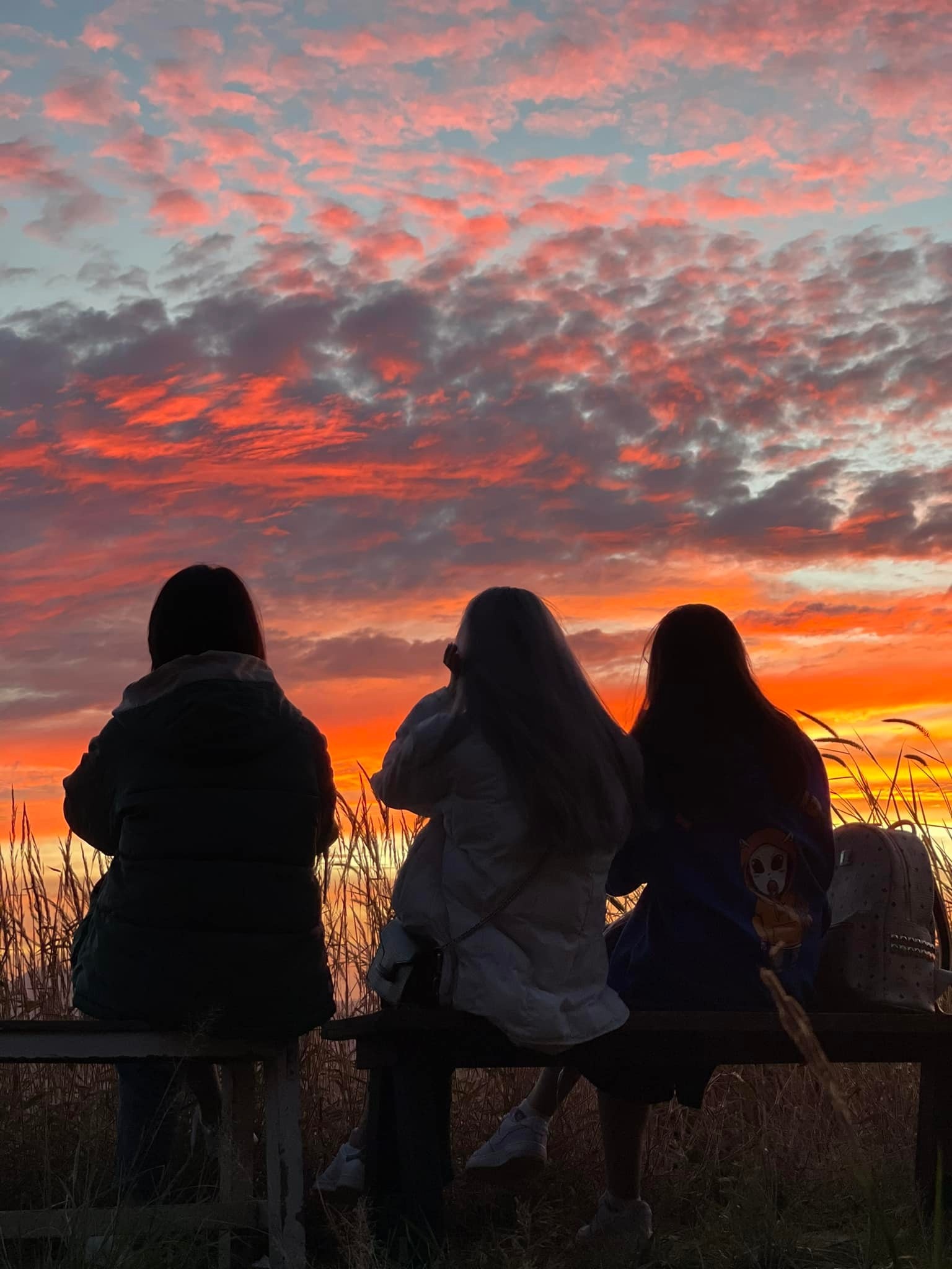 cảnh đẹp, view đẹp, du lịch ảnh 11 canh dep, view dep, du lich anh 11