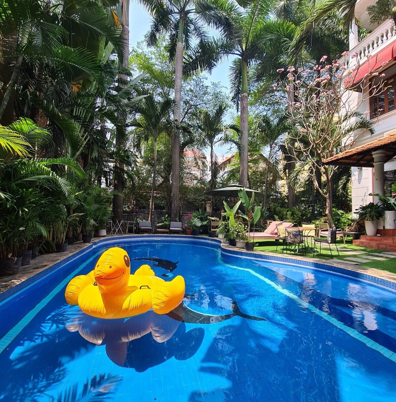 thức ăn ngon, không gian, thoáng đãng ảnh 4 thuc an ngon, khong gian, thoang dang anh 4