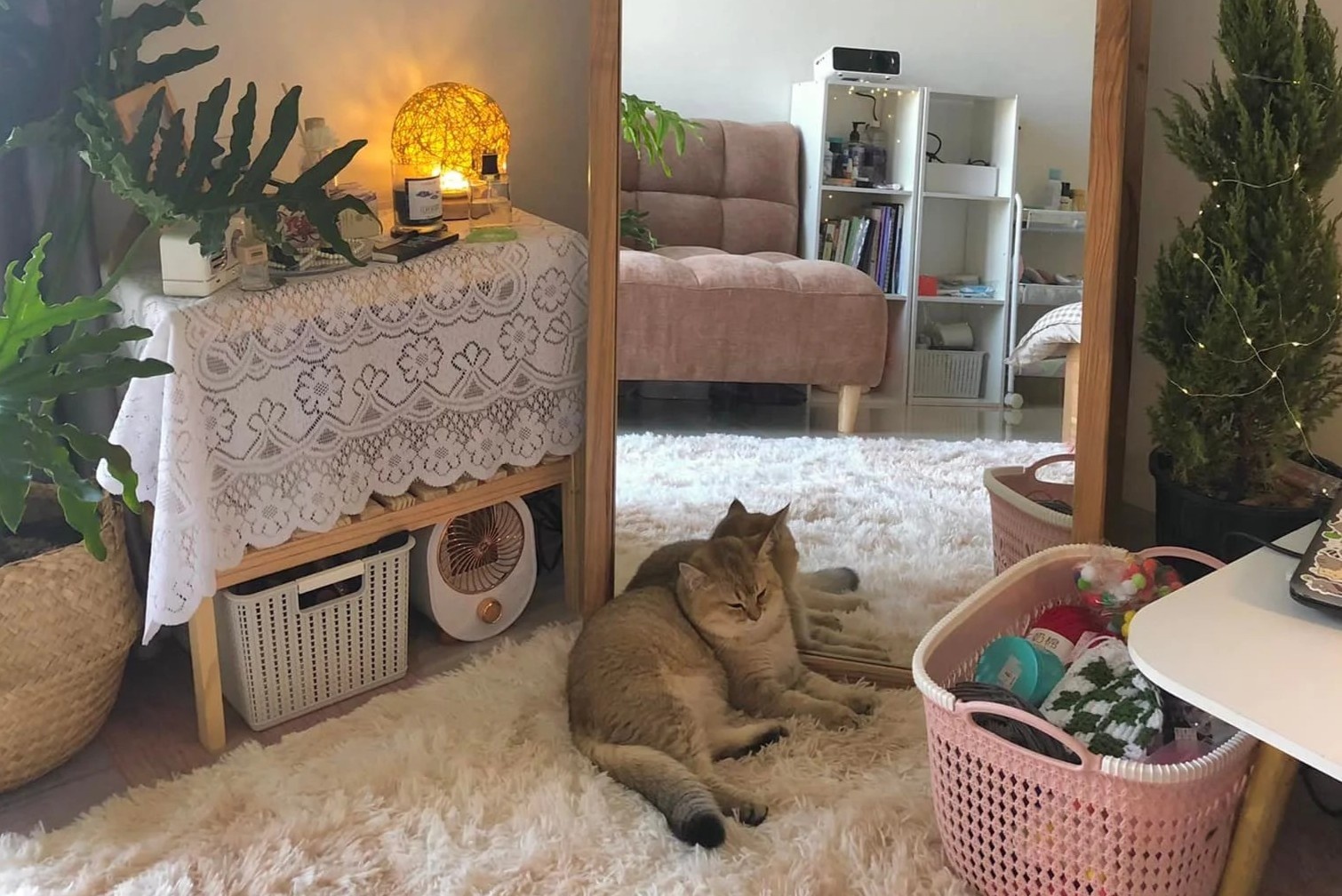 Decor phong tro 21 m2 het 8,3 trieu dong hinh anh